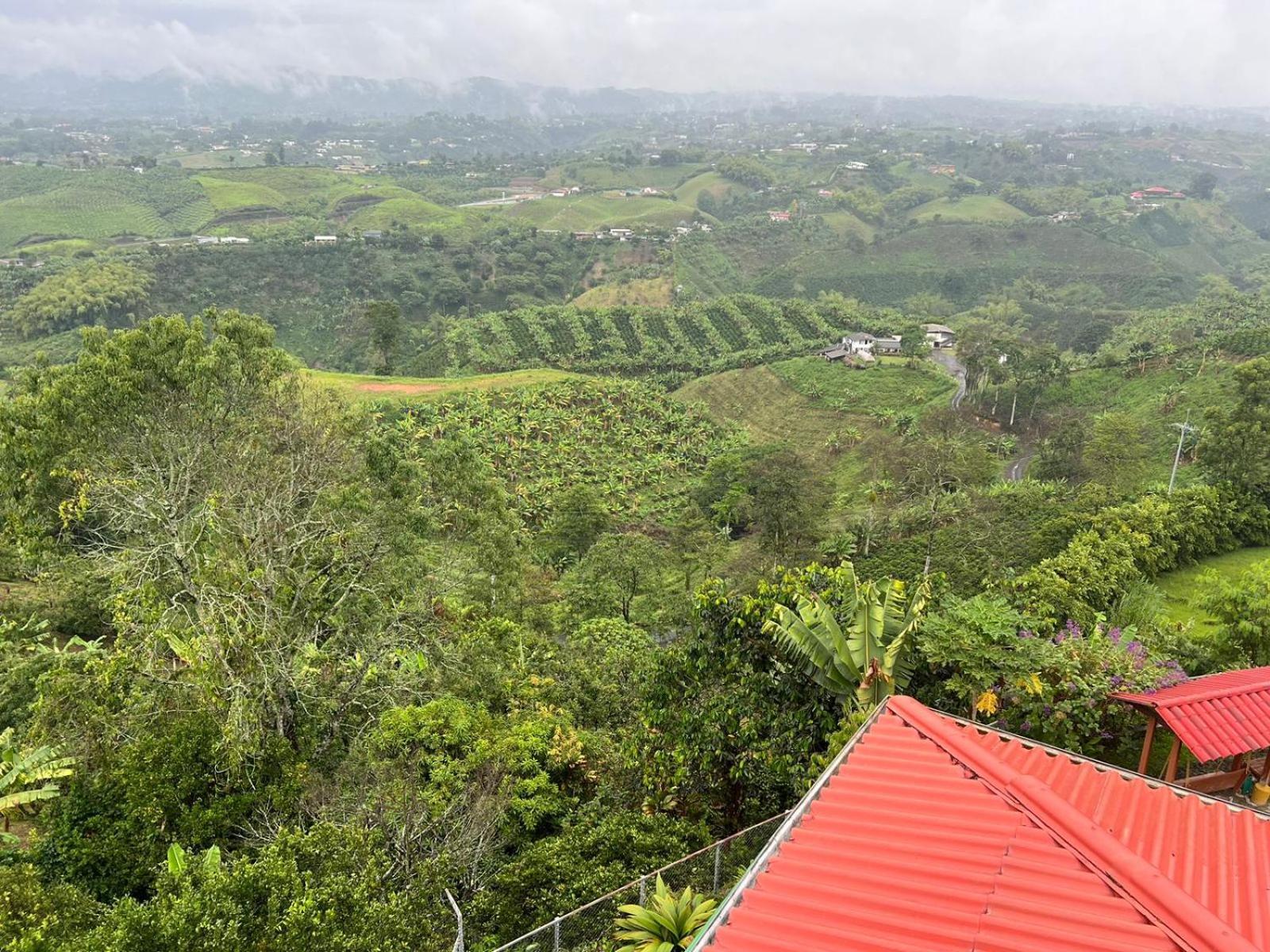 Eco Hotel La Selecta Pereira Luaran gambar